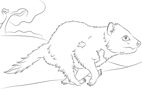 Running Tasmanian Devil Coloring Page